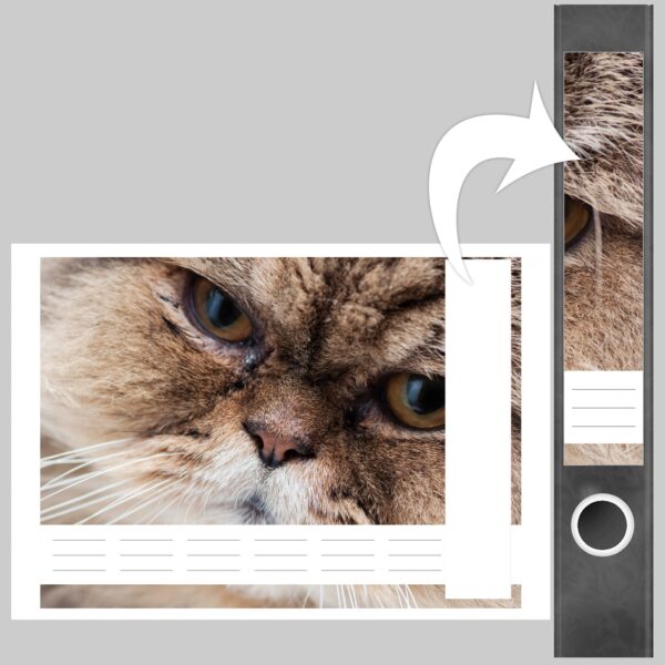 Etiketten für Ordner | Katze Groß | 7 Aufkleber für schmale Ordnerrücken | Selbstklebende Design Ordneretiketten Rückenschilder