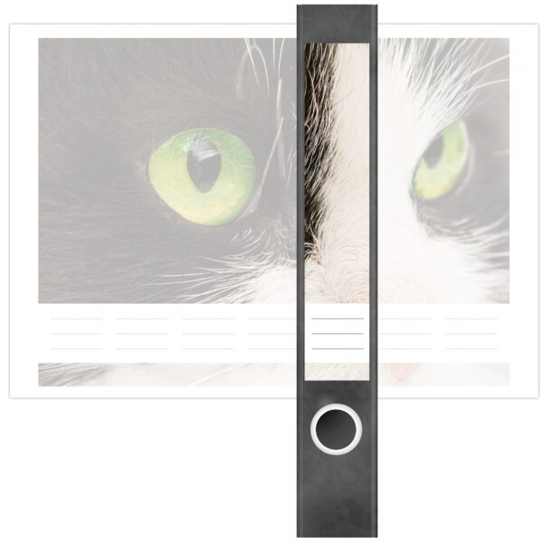 Etiketten für Ordner | Katze schwarz weiß | 7 Aufkleber für schmale Ordnerrücken | Selbstklebende Design Ordneretiketten Rückenschilder