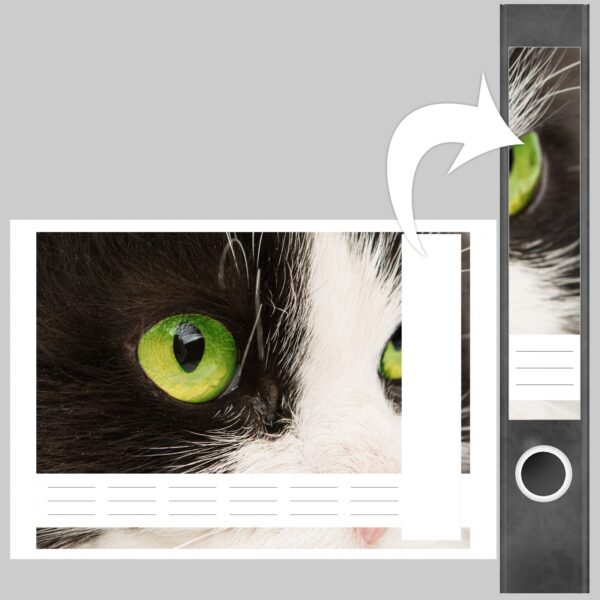 Etiketten für Ordner | Katze schwarz weiß | 7 Aufkleber für schmale Ordnerrücken | Selbstklebende Design Ordneretiketten Rückenschilder
