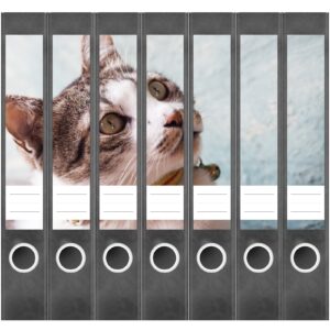 Etiketten für Ordner | spielende Katze | 7 Aufkleber für schmale Ordnerrücken | Selbstklebende Design Ordneretiketten Rückenschilder
