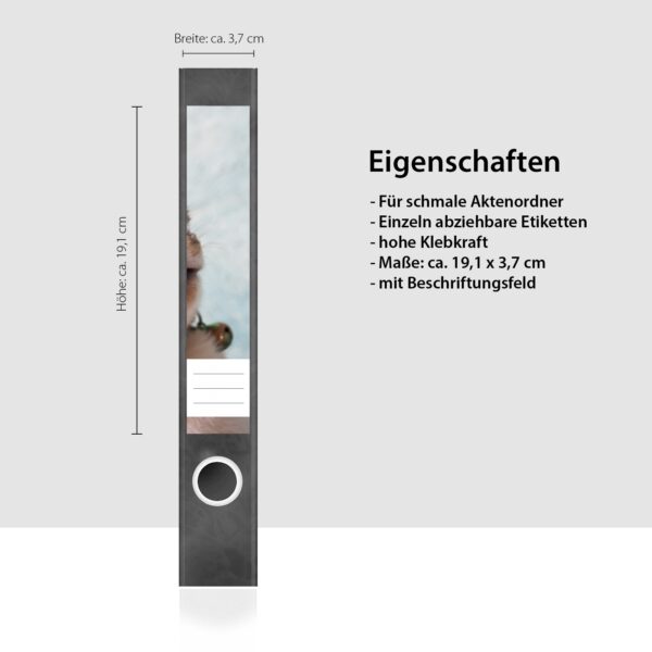 Etiketten für Ordner | spielende Katze | 7 Aufkleber für schmale Ordnerrücken | Selbstklebende Design Ordneretiketten Rückenschilder
