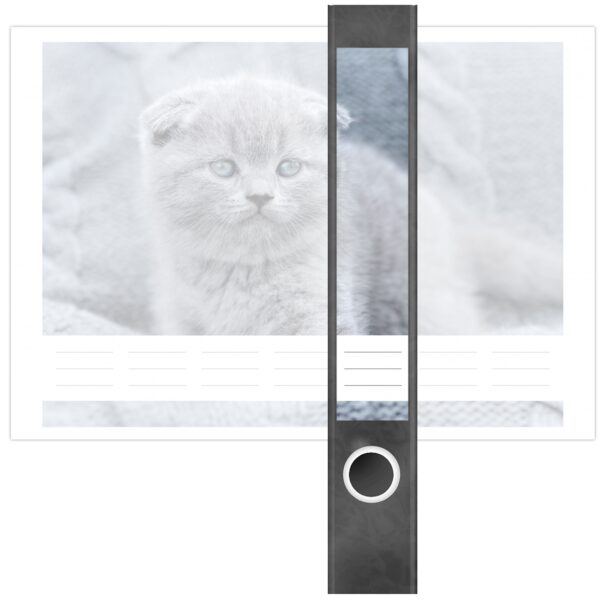 Etiketten für Ordner | graue Katze Kätzchen | 7 Aufkleber für schmale Ordnerrücken | Selbstklebende Design Ordneretiketten Rückenschilder