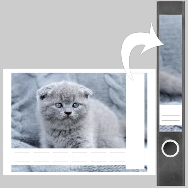 Etiketten für Ordner | graue Katze Kätzchen | 7 Aufkleber für schmale Ordnerrücken | Selbstklebende Design Ordneretiketten Rückenschilder