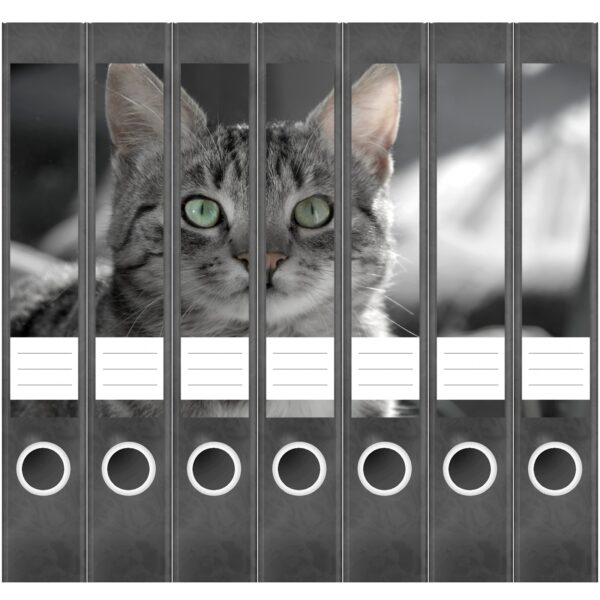 Etiketten für Ordner | gestreifte Katze grau | 7 Aufkleber für schmale Ordnerrücken | Selbstklebende Design Ordneretiketten Rückenschilder