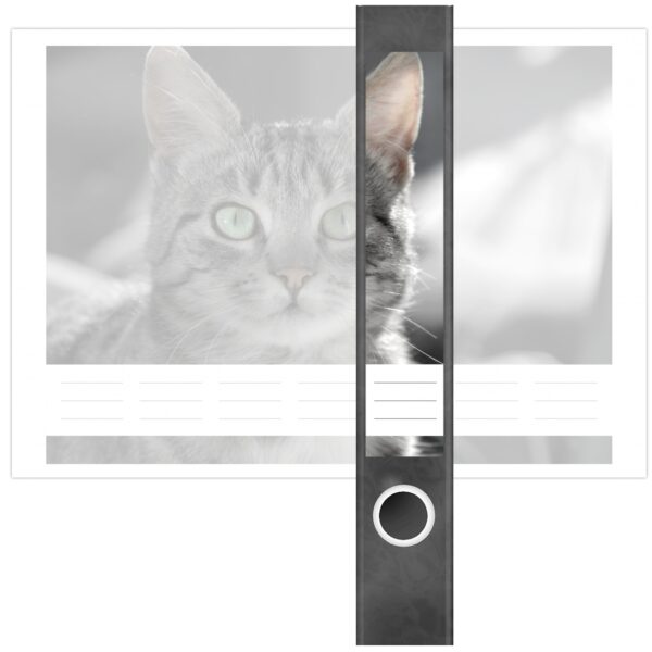 Etiketten für Ordner | gestreifte Katze grau | 7 Aufkleber für schmale Ordnerrücken | Selbstklebende Design Ordneretiketten Rückenschilder