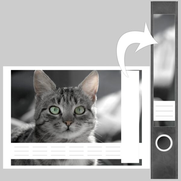 Etiketten für Ordner | gestreifte Katze grau | 7 Aufkleber für schmale Ordnerrücken | Selbstklebende Design Ordneretiketten Rückenschilder