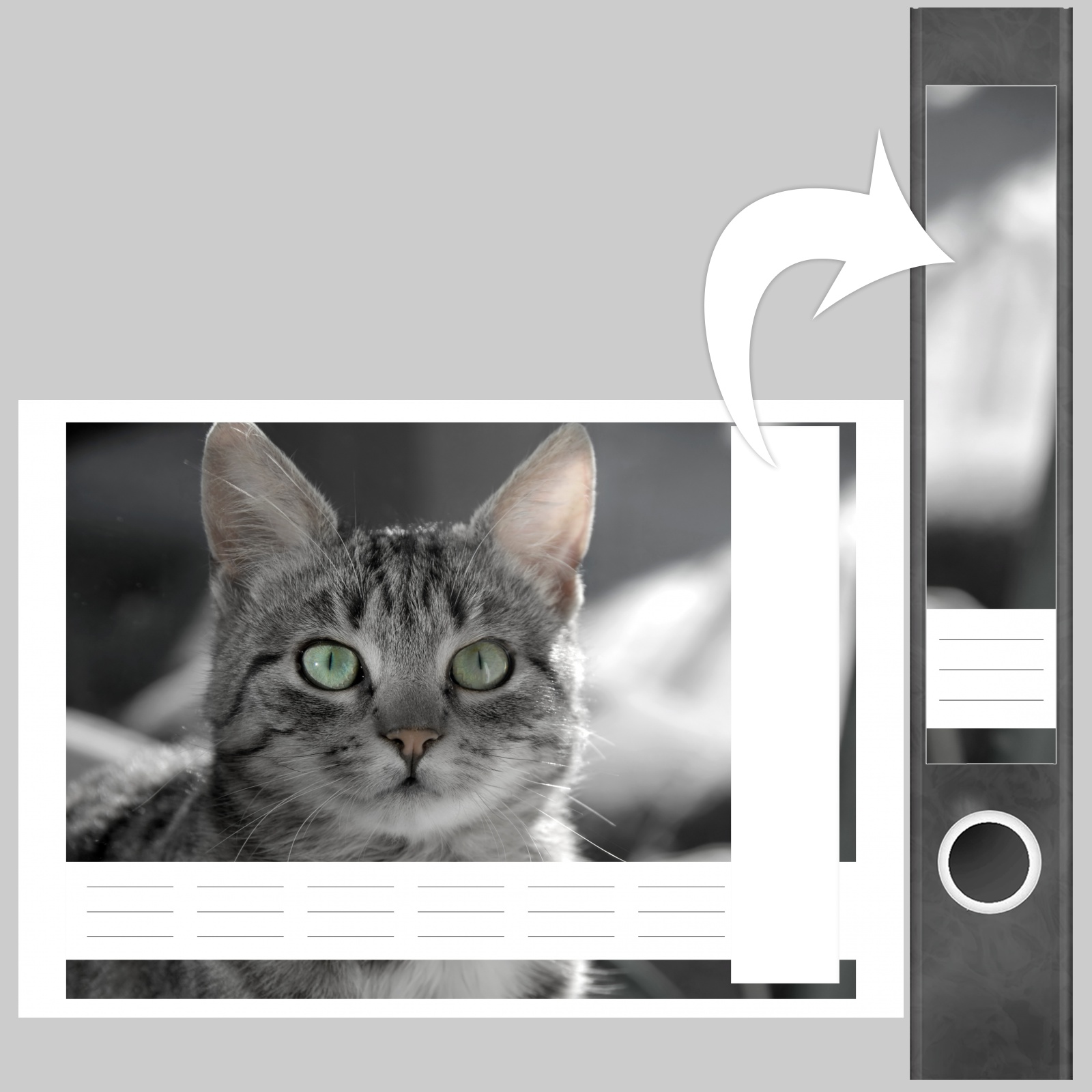 Selbstklebende Design Ordneretiketten Rückenschilder gestreifte Katze grau 7 Aufkleber für schmale Ordnerrücken Etiketten für Ordner