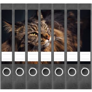 Etiketten für Ordner | Katzenfoto Kätzchen | 7 Aufkleber für schmale Ordnerrücken | Selbstklebende Design Ordneretiketten Rückenschilder