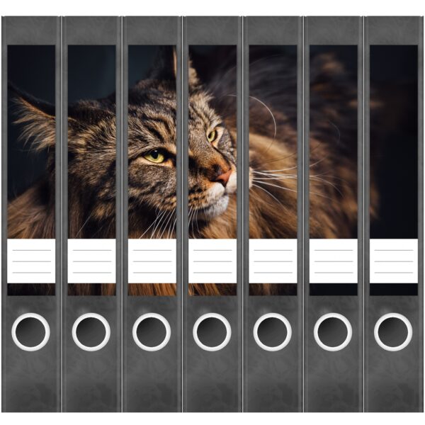 Etiketten für Ordner | Katzenfoto Kätzchen | 7 Aufkleber für schmale Ordnerrücken | Selbstklebende Design Ordneretiketten Rückenschilder