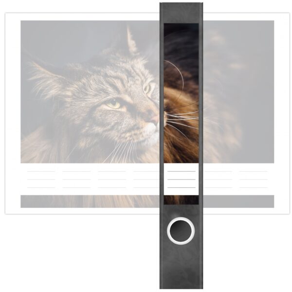Etiketten für Ordner | Katzenfoto Kätzchen | 7 Aufkleber für schmale Ordnerrücken | Selbstklebende Design Ordneretiketten Rückenschilder