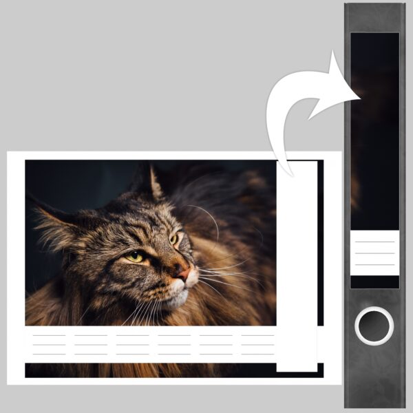 Etiketten für Ordner | Katzenfoto Kätzchen | 7 Aufkleber für schmale Ordnerrücken | Selbstklebende Design Ordneretiketten Rückenschilder