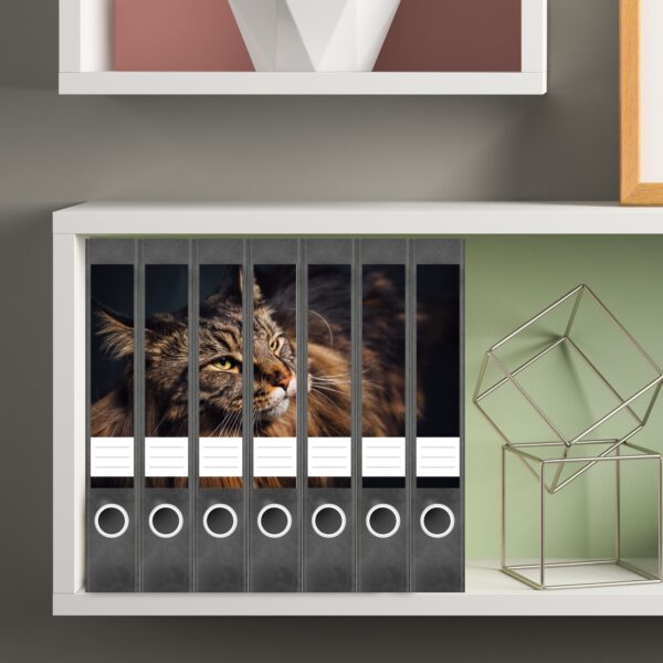 Etiketten für Ordner | Katzenfoto Kätzchen | 7 Aufkleber für schmale Ordnerrücken | Selbstklebende Design Ordneretiketten Rückenschilder