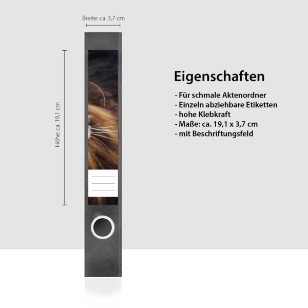 Etiketten für Ordner | Katzenfoto Kätzchen | 7 Aufkleber für schmale Ordnerrücken | Selbstklebende Design Ordneretiketten Rückenschilder