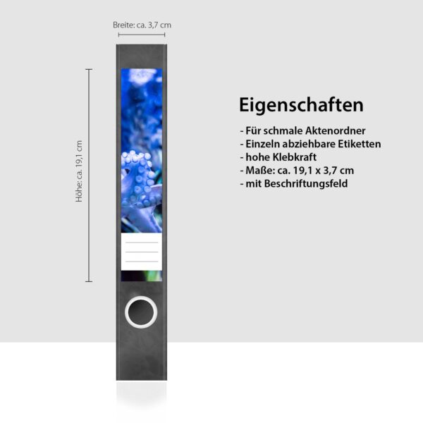 Etiketten für Ordner | Tintenfisch Krake | 7 Aufkleber für schmale Ordnerrücken | Selbstklebende Design Ordneretiketten Rückenschilder
