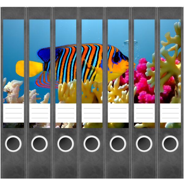Etiketten für Ordner | Fisch Unterwasser | 7 Aufkleber für schmale Ordnerrücken | Selbstklebende Design Ordneretiketten Rückenschilder