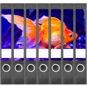 Etiketten für Ordner | Goldener Fisch Aquarium | 7 Aufkleber für schmale Ordnerrücken | Selbstklebende Design Ordneretiketten Rückenschilder