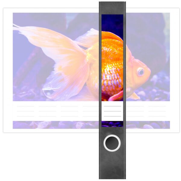 Etiketten für Ordner | Goldener Fisch Aquarium | 7 Aufkleber für schmale Ordnerrücken | Selbstklebende Design Ordneretiketten Rückenschilder