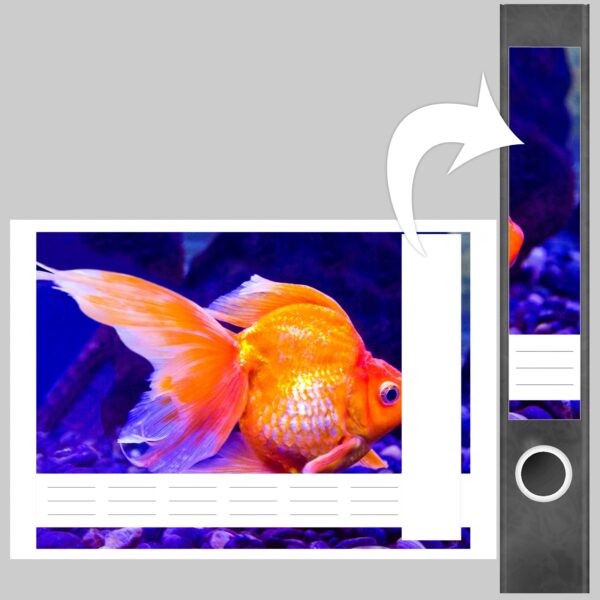Etiketten für Ordner | Goldener Fisch Aquarium | 7 Aufkleber für schmale Ordnerrücken | Selbstklebende Design Ordneretiketten Rückenschilder