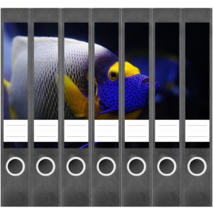 Etiketten für Ordner | Tauchen Fisch Koralle | 7 Aufkleber für schmale Ordnerrücken | Selbstklebende Design Ordneretiketten Rückenschilder