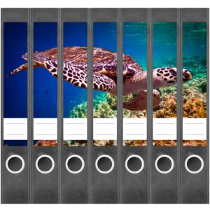 Etiketten für Ordner | Wasserschildkröte | 7 Aufkleber für schmale Ordnerrücken | Selbstklebende Design Ordneretiketten Rückenschilder