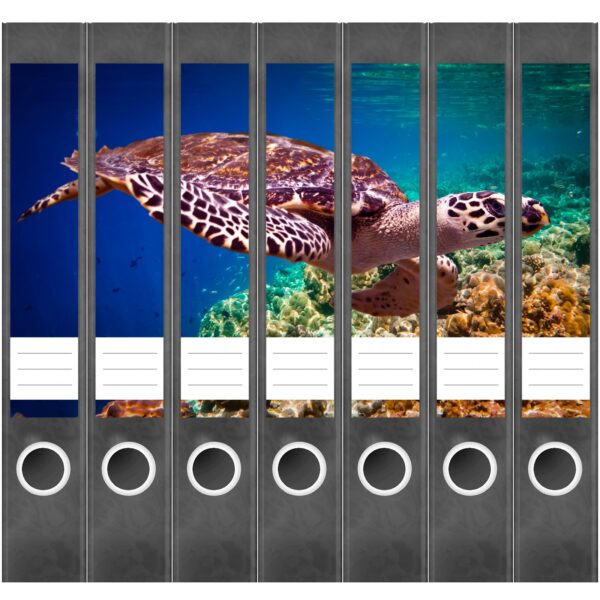 Etiketten für Ordner | Wasserschildkröte | 7 Aufkleber für schmale Ordnerrücken | Selbstklebende Design Ordneretiketten Rückenschilder