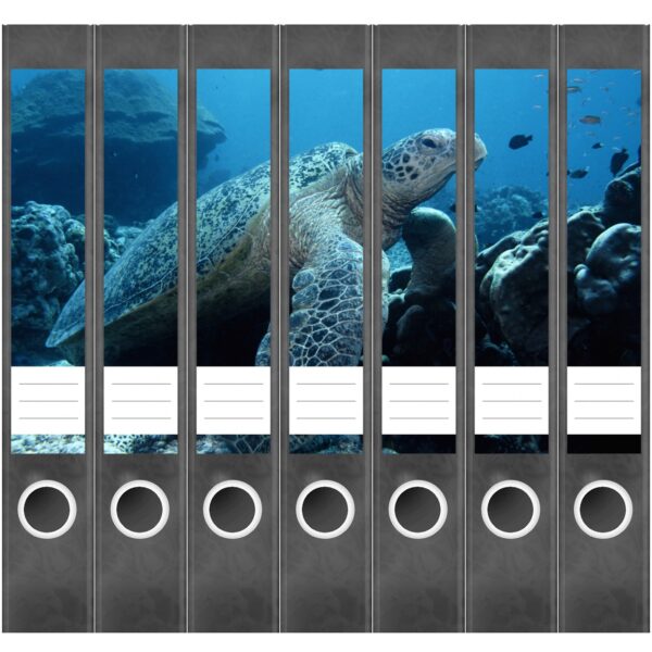 Etiketten für Ordner | Schildkröte Unterwasser | 7 Aufkleber für schmale Ordnerrücken | Selbstklebende Design Ordneretiketten Rückenschilder