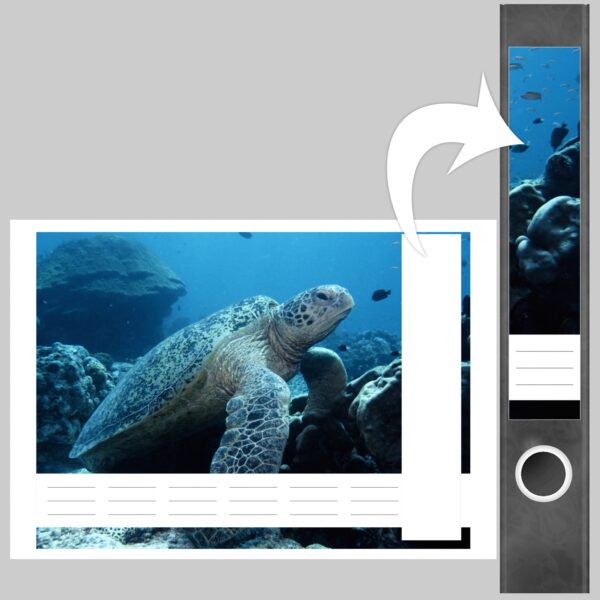 Etiketten für Ordner | Schildkröte Unterwasser | 7 Aufkleber für schmale Ordnerrücken | Selbstklebende Design Ordneretiketten Rückenschilder