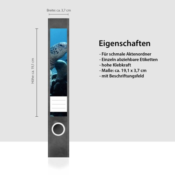 Etiketten für Ordner | Schildkröte Unterwasser | 7 Aufkleber für schmale Ordnerrücken | Selbstklebende Design Ordneretiketten Rückenschilder