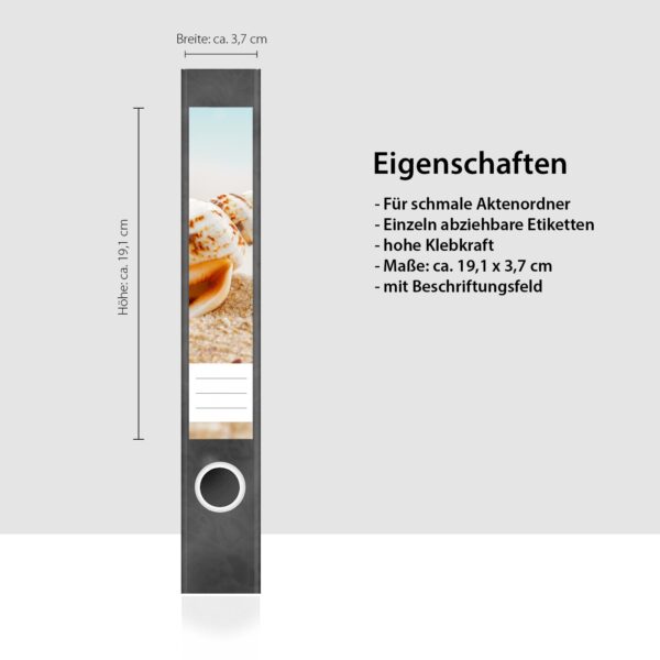 Etiketten für Ordner | Muschel im Sand | 7 Aufkleber für schmale Ordnerrücken | Selbstklebende Design Ordneretiketten Rückenschilder