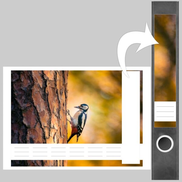 Etiketten für Ordner | Vogel am Baum | 7 Aufkleber für schmale Ordnerrücken | Selbstklebende Design Ordneretiketten Rückenschilder