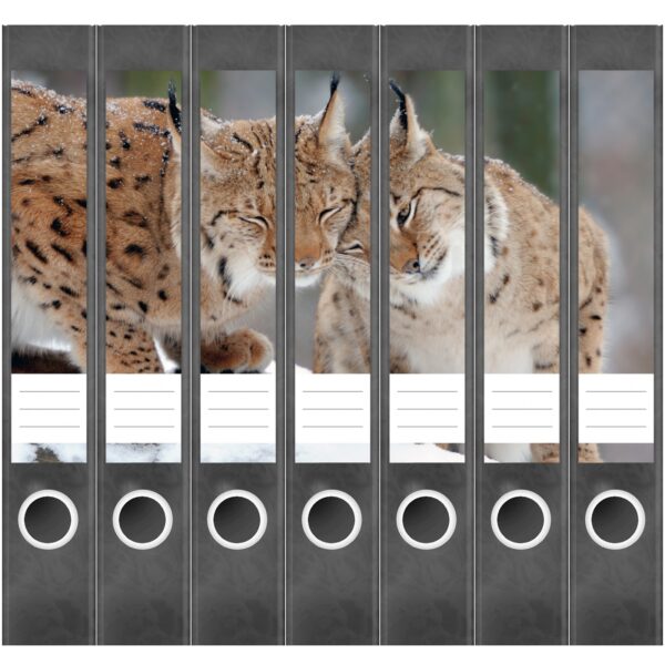 Etiketten für Ordner | Luchs | 7 Aufkleber für schmale Ordnerrücken | Selbstklebende Design Ordneretiketten Rückenschilder