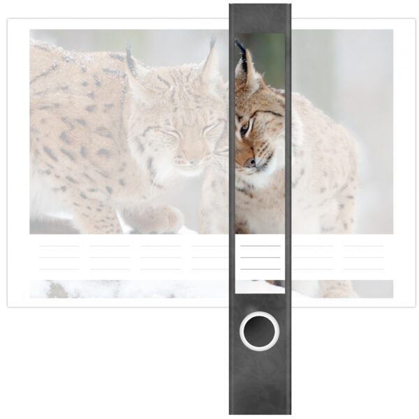 Etiketten für Ordner | Luchs | 7 Aufkleber für schmale Ordnerrücken | Selbstklebende Design Ordneretiketten Rückenschilder