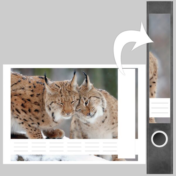 Etiketten für Ordner | Luchs | 7 Aufkleber für schmale Ordnerrücken | Selbstklebende Design Ordneretiketten Rückenschilder