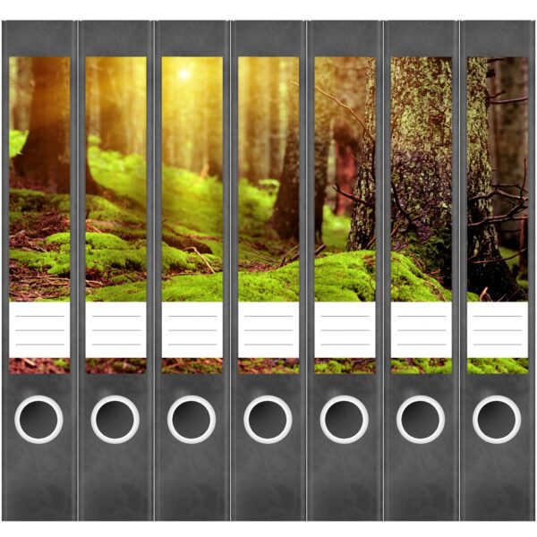 Etiketten für Ordner | Moos im Wald | 7 Aufkleber für schmale Ordnerrücken | Selbstklebende Design Ordneretiketten Rückenschilder