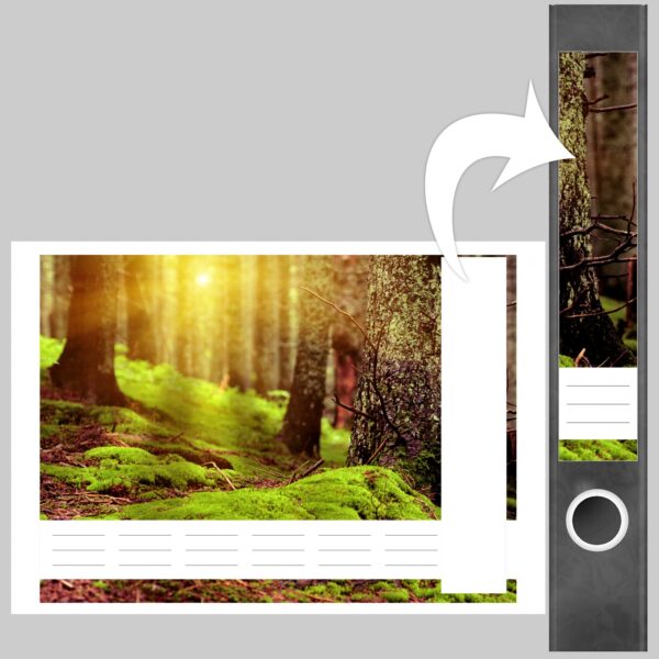 Etiketten für Ordner | Moos im Wald | 7 Aufkleber für schmale Ordnerrücken | Selbstklebende Design Ordneretiketten Rückenschilder