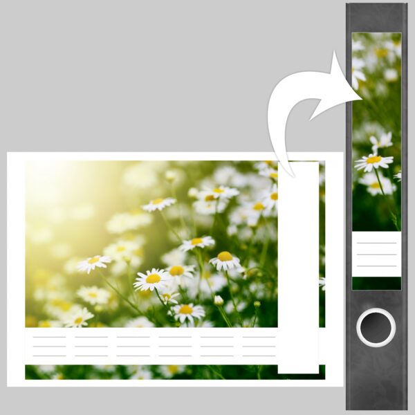 Etiketten für Ordner | Gänseblümchen | 7 Aufkleber für schmale Ordnerrücken | Selbstklebende Design Ordneretiketten Rückenschilder