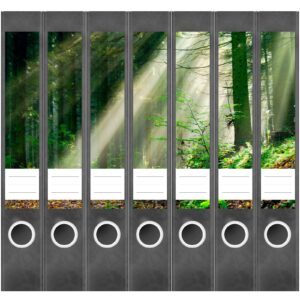 Etiketten für Ordner | Lichtstrahlen im Wald | 7 Aufkleber für schmale Ordnerrücken | Selbstklebende Design Ordneretiketten Rückenschilder