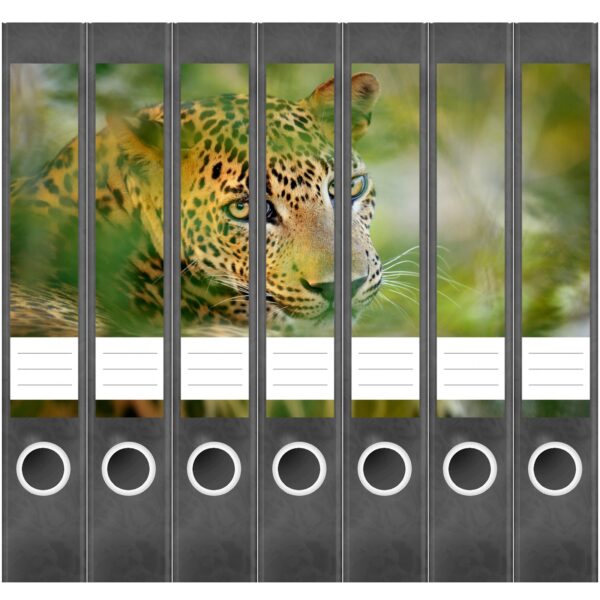 Etiketten für Ordner | Leopard | 7 Aufkleber für schmale Ordnerrücken | Selbstklebende Design Ordneretiketten Rückenschilder