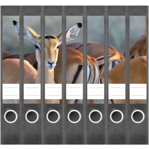 Etiketten für Ordner | Gazelle | 7 Aufkleber für schmale Ordnerrücken | Selbstklebende Design Ordneretiketten Rückenschilder