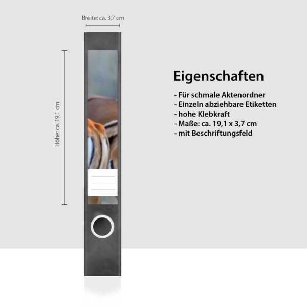 Etiketten für Ordner | Gazelle | 7 Aufkleber für schmale Ordnerrücken | Selbstklebende Design Ordneretiketten Rückenschilder