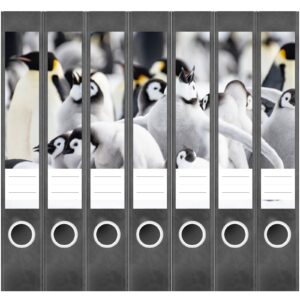 Etiketten für Ordner | Pinguine | 7 Aufkleber für schmale Ordnerrücken | Selbstklebende Design Ordneretiketten Rückenschilder