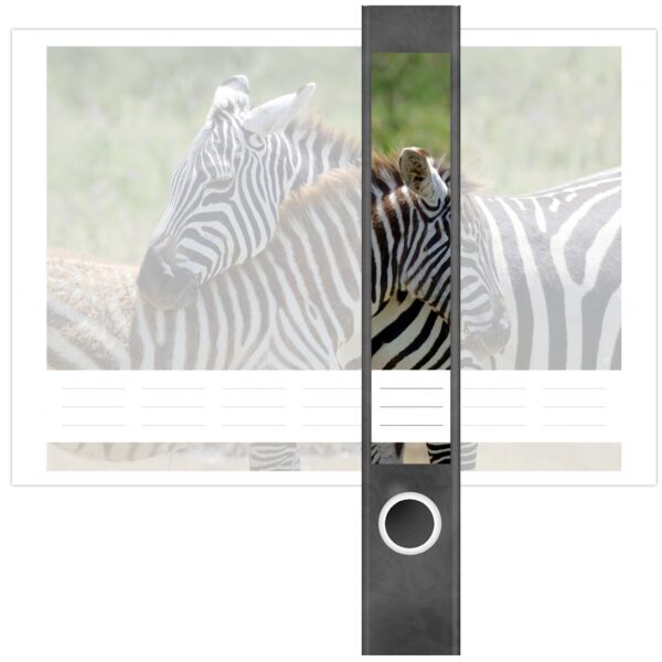 Etiketten für Ordner | 2 Zebras | 7 Aufkleber für schmale Ordnerrücken | Selbstklebende Design Ordneretiketten Rückenschilder