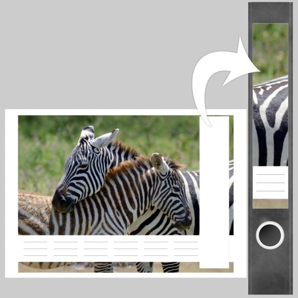 Etiketten für Ordner | 2 Zebras | 7 Aufkleber für schmale Ordnerrücken | Selbstklebende Design Ordneretiketten Rückenschilder