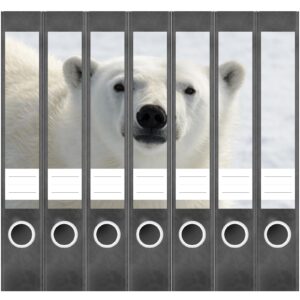 Etiketten für Ordner | Eisbär im Eis | 7 Aufkleber für schmale Ordnerrücken | Selbstklebende Design Ordneretiketten Rückenschilder
