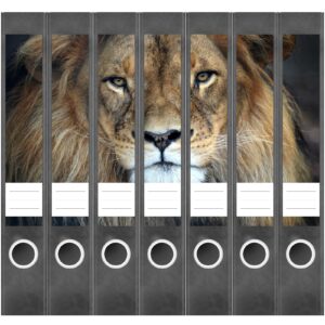 Etiketten für Ordner | Löwe | 7 Aufkleber für schmale Ordnerrücken | Selbstklebende Design Ordneretiketten Rückenschilder