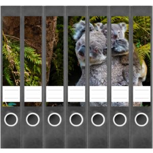 Etiketten für Ordner | Koala Bären | 7 Aufkleber für schmale Ordnerrücken | Selbstklebende Design Ordneretiketten Rückenschilder