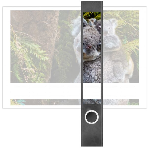 Etiketten für Ordner | Koala Bären | 7 Aufkleber für schmale Ordnerrücken | Selbstklebende Design Ordneretiketten Rückenschilder