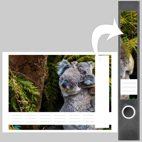 Etiketten für Ordner | Koala Bären | 7 Aufkleber für schmale Ordnerrücken | Selbstklebende Design Ordneretiketten Rückenschilder
