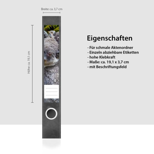 Etiketten für Ordner | Koala Bären | 7 Aufkleber für schmale Ordnerrücken | Selbstklebende Design Ordneretiketten Rückenschilder