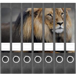 Etiketten für Ordner | Löwe 2 | 7 Aufkleber für schmale Ordnerrücken | Selbstklebende Design Ordneretiketten Rückenschilder